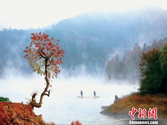 浙江浦江鄉(xiāng)村逆襲記：精耕細(xì)作煥新顏 青山綠水入畫(huà)來(lái)。浦江縣農(nóng)辦提供