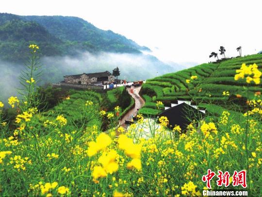 浙江浦江鄉(xiāng)村逆襲記：精耕細(xì)作煥新顏 青山綠水入畫(huà)來(lái)。浦江縣農(nóng)辦提供